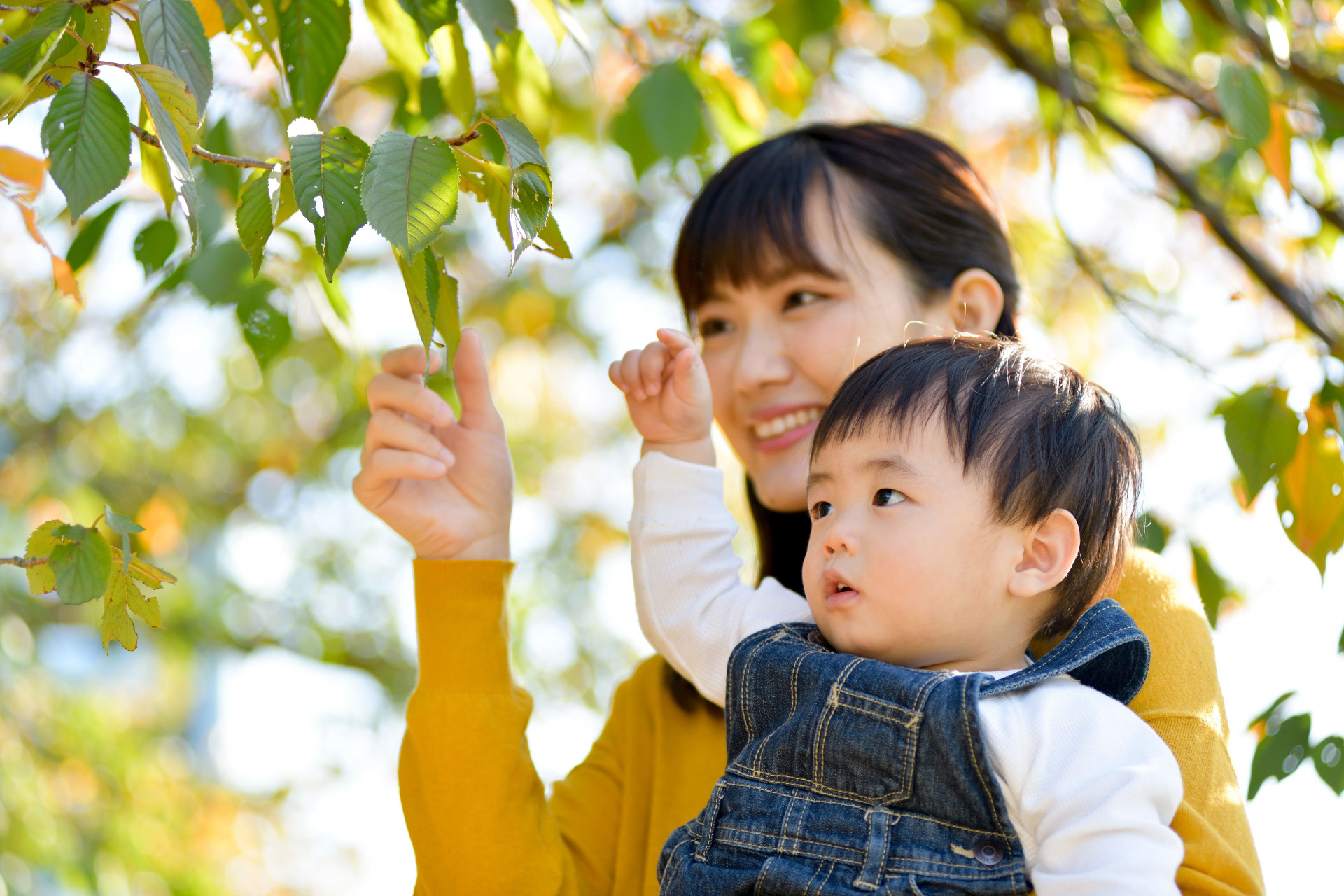家庭や子育てを大切にしながら働けます